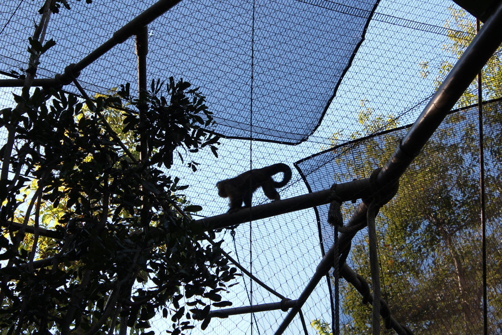 San Diego Zoo Part II 131